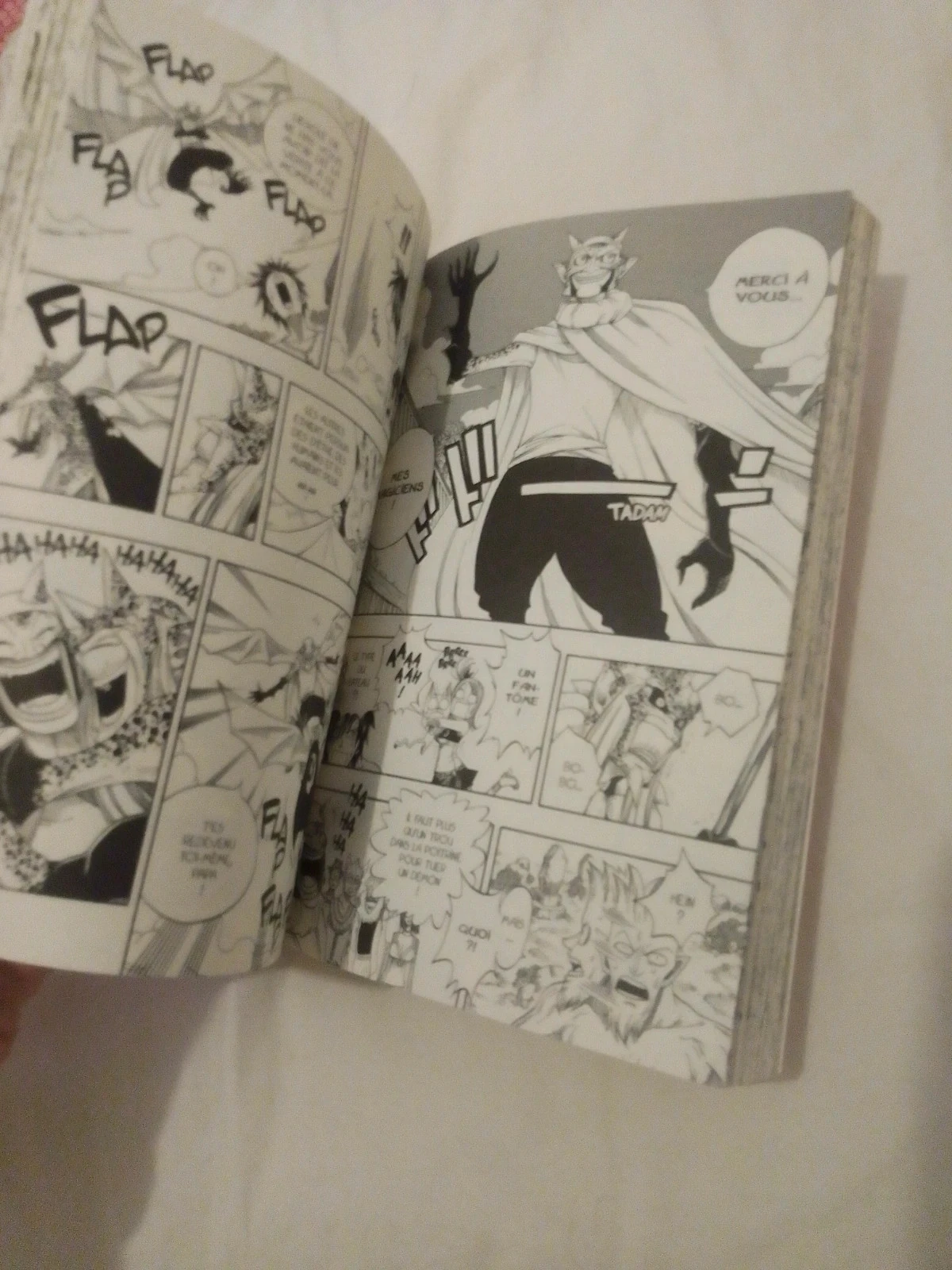 Fairytail – photo 4